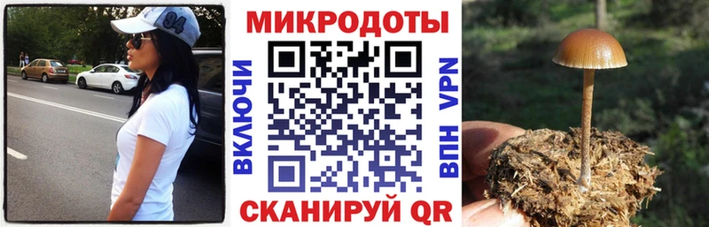 Псилоцибиновые грибы Cubensis  кракен как зайти  Нязепетровск  наркота 